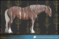 Horse Color:White Spotted Chocolate Silver Brown Ice 