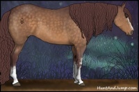 Horse Color:White Spotted Chocolate Buckskin 