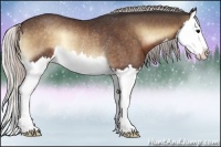 Horse Color:Silver Brown Onyx Splash Rabicano