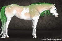 Horse Color:Watercolor White Spotted Buckskin Onyx Splash