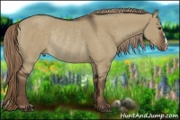 Horse Color:Liver Red Dun Rabicano 