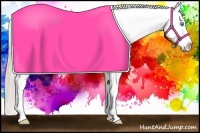 Horse Color:Chocolate Palomino Pearl Splash Appaloosa