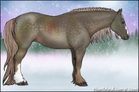 Horse Color:Chocolate Palomino 