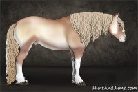 Horse Color:Red Onyx Pearl Rabicano
