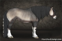 Horse Color:Blue Onyx Rabicano
