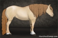 Horse Color:Red Dun Pearl Sabino