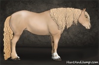 Horse Color:Chestnut Pearl Sabino 