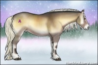 Horse Color:Liver Red Onyx Rabicano