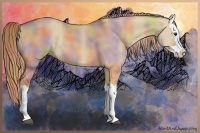 Horse Color:Nacre Red Dun Splash