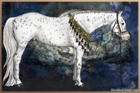 Horse Color:Chocolate Silver Black Leopard