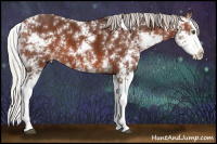 Horse Color:Silver Brown Sabino Splash
