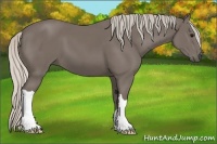 Horse Color:Silver Smoky Black 