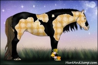 Horse Color:Plaid  Amber Champagne Ice Tobiano 