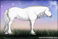 Horse Color:Gray Silver Bay Ice Sabino 