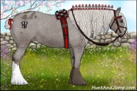 Horse Color:Silver Black Appaloosa 