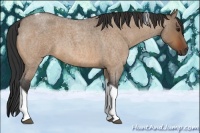 Horse Color:Bay Roan Dun Tobiano