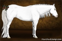Horse Color:Chocolate Palomino Dun Near Leopard 