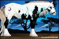 Horse Color:Sable Cream Champagne Ice Pearl Splash 