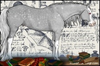 Horse Color:Silver Grullo Chinchilla Splash 