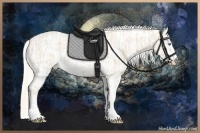 Horse Color:Cremello Sabino  and Cremello Sabino 