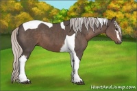 Horse Color:White Spotted Silver Black Tobiano 