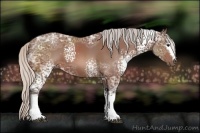 Horse Color:White Spotted Silver Bay Ice 
