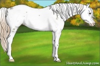 Horse Color:Liver Red Dun Ice Sabino Splash 
