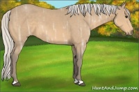 Horse Color:Silver Buckskin Ice 