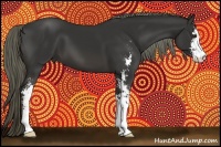 Horse Color:Liver Chestnut Sabino