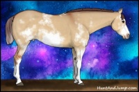 Horse Color:Chocolate Bay Dun Sabino Splash Frame
