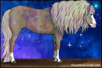 Horse Color:Nacre Silver Blue Roan Splash 