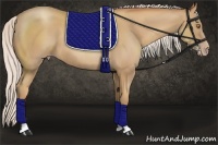 Horse Color:Silver Classic Champagne 