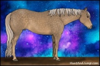 Horse Color:Chocolate Palomino 