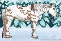 Horse Color:Chestnut Splash Tobiano
