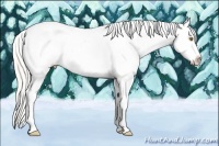 Horse Color:Plaid  Silver Classic Champagne Tobiano Appaloosa 