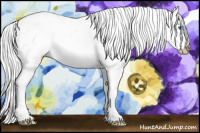 Horse Color:Gray Chocolate Palomino Pearl Dun Sabino Splash Appaloosa 