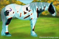 Horse Color:Thunderstruck Buckskin Ice Dun Splash 