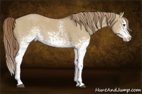 Horse Color:White Spotted Liver Red Dun Sabino Splash 