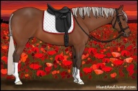 Horse Color:Silver Bay 