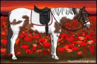 Horse Color:White Spotted Bay Tobiano Frame 