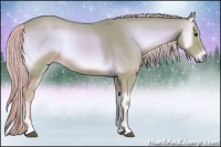 Horse Color:Watercolor Palomino Onyx Sabino