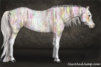 Horse Color:Silver Bay Ice Roan Splash 
