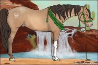 Horse Color:Amber Champagne 