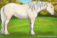 Horse Color:Palomino Pearl Dun