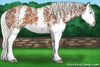 Horse Color:White Spotted Silver Bay Splash 
