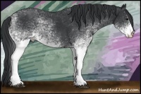 Horse Color:White Spotted Black 