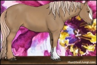 Horse Color:Palomino 