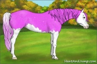 Horse Color:Watercolor Liver Chestnut Splash 