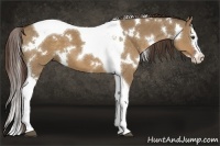 Horse Color:White Spotted Liver Red Dun Splash Tobiano