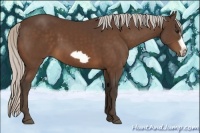 Horse Color:Silver Bay Frame 